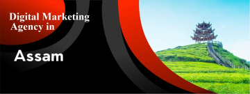 Digital marketing agency in assam- webibm