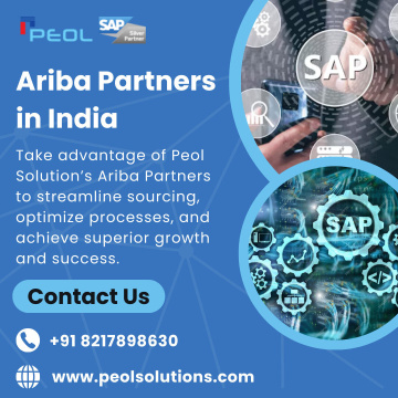 Ariba Partners in India