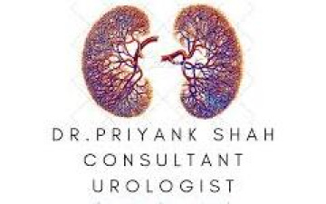 Dr. Priyank Shah
