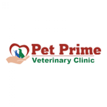 Looking for best pet clinic in Gurugram?