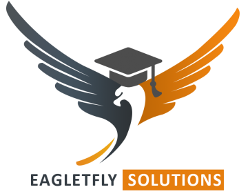 Eagle Fly Solutions