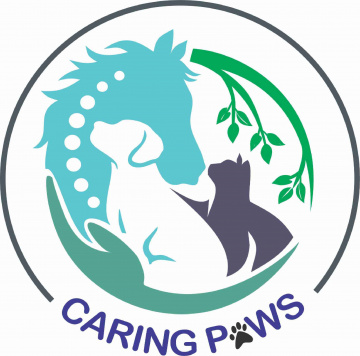 Caring Paws Vet Clinic & Surgical Centre - Pet Clinic In Ahmedabad