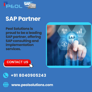 SAP Partner in India