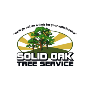 Solid Oak Tree Service