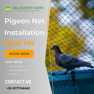 Pigeon Net Installation Near Me