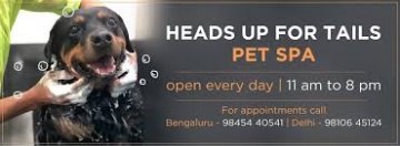 Heads Up For Tails Pet Supply Store