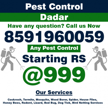 Pest Control Services in Dadar