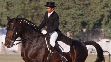 The Olympic Riding & Equestrian Farm  (O.R.E.F)