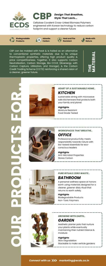 Top Evergreen Eco-Friendly Product Suppliers for Sustainable Innovation