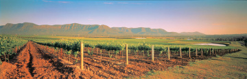 Hunter Valley Wine Tours