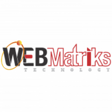 WebMatriks: SEO and Digital Marketing Company in Faridabad