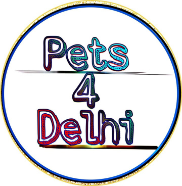 Pets 4 delhi