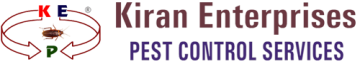 Pest Control Services in Bangalore | Safe & Effective Solutions