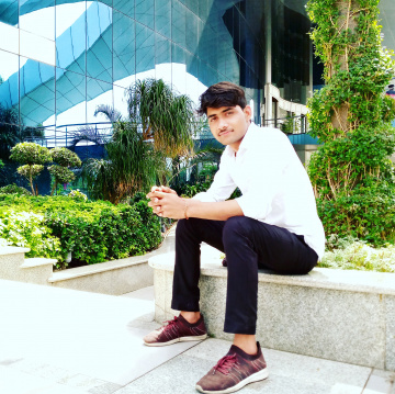 Digital Gopal - Search Engine Optimization Executive.