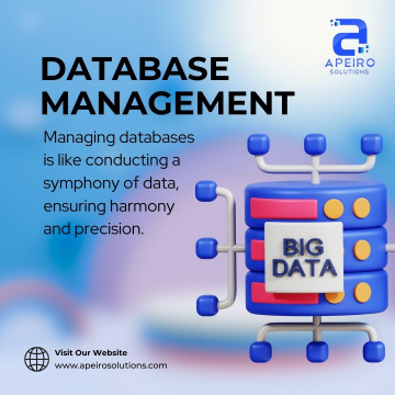 Best Database Management Companies in India
