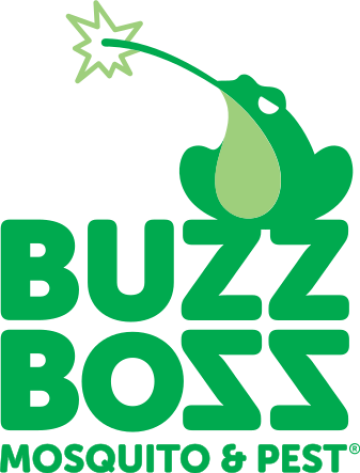 Buzz Boss