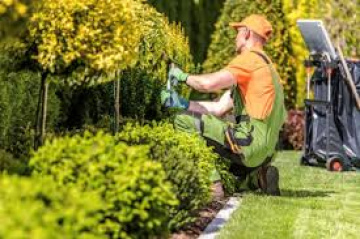 Cheap Grass Cutting Service Near Me - I love Gardening
