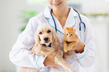 24/7 Local Veterinarian
