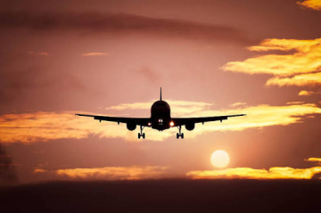 All Nippon Airways JFK Terminal +1-888-738-0817