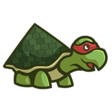 Roofing Turtle