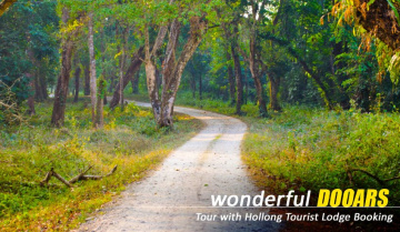 Experience the Wild Heart of Nature with Dooars Tour with Jaldapara Elephant Safari