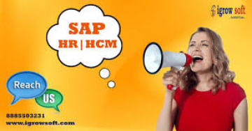 Best SAP HR HCM Online Training in Hyderabad | Igrowsoft