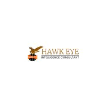 Hawk Eye Detective