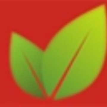 Top Wooden Cold Pressed Cooking Oil Manufacturer & Supplier
