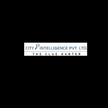 Top Detective Agency in Delhi | City Intelligence - Call Now!