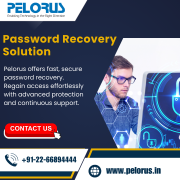 Password Recovery Solution