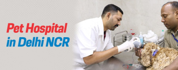 Pet Hospital In Delhi NCR | CGS Hospital