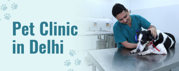 Pet Care in Delhi | CGS Hospital Sarojini Nagar
