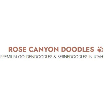 Rose Canyon Doodles