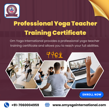 Professional Yoga Teacher Training Certificate