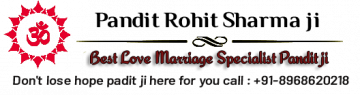 +91-8968620218 Online Love Marriage Specialist In Delhi