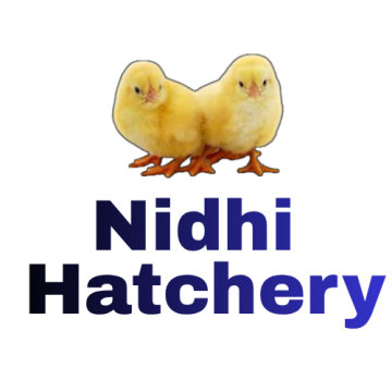 Nidhi Hatchery- Affordable poultry broiler chicks farm/supplier in Gorakhpur, Uttar Pradesh