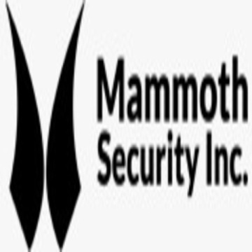 Mammoth Security Inc. Bantam