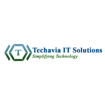 Techavia IT Solutions