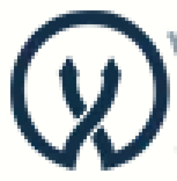 ViceVersa Software