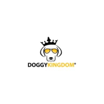 The Doggykingdom Harness: Safer Than a Collar for Dogs with Neck Problems