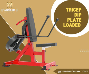 TRICEP DIP PLATE LOADED