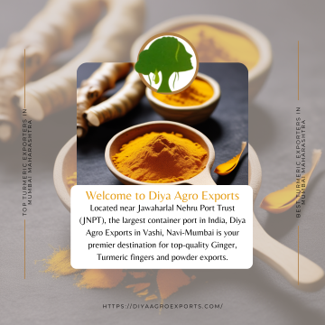 Turmeric exporters in Mumbai Maharashtra