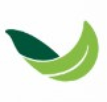 Discover Nepenthes in Australia with Evergreen Exotics