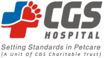 Grooming Services For Pets in Gurgaon | CGS Hospital