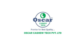 Automatic Cashew Nut Peeling Machine