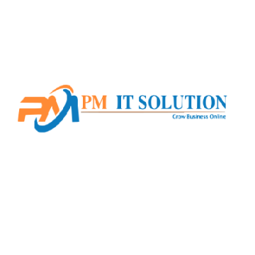PM IT Solution - Digital Marketing Company in Jaipur