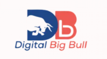 Digital Bigbull- Digital Marketing Agency
