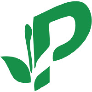 Rose Cardamom Green Tea Manufacturer & Exporter In India