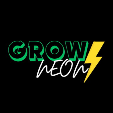 How to Choose the Best Neon Lights in India for Home Décor?