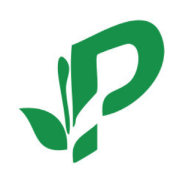 Organic Wellness Tea Manufacturer in India - Herbal Detox Tea